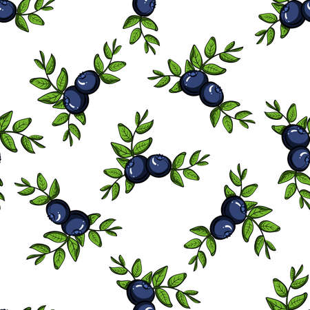 Pattern made from hand drawn branches of blueberries.のイラスト素材