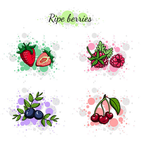 Set of hand drawn colorful berries. のイラスト素材