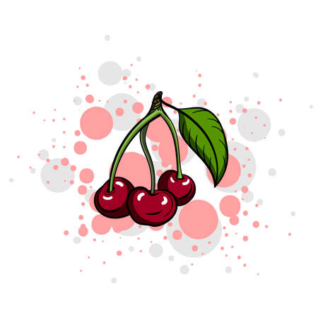 Hand drawn cherry on the bright background. Vector illustration