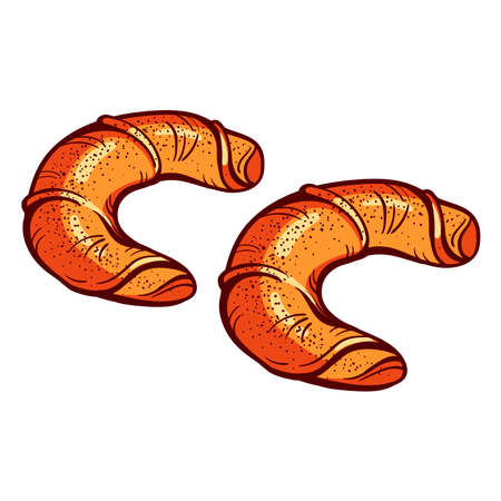 Hand drawn bagels on the white background. Vector illustration.のイラスト素材