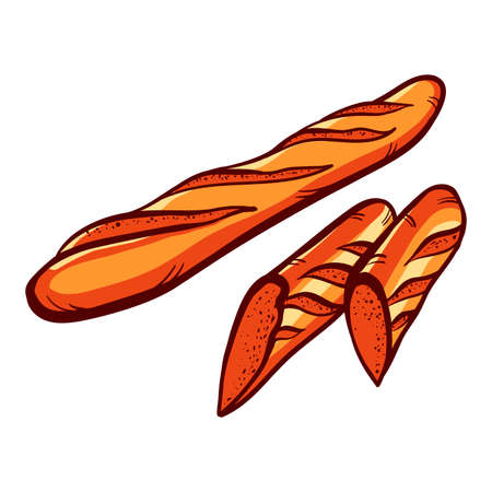 Hand drawn baguette on the white background. Vector illustration.のイラスト素材