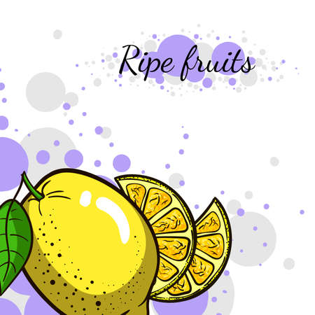 Abstract background with hand drawn fruits. Vector illustrationのイラスト素材