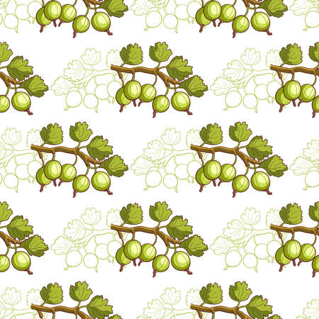 Seamless pattern made from hand drawn gooseberry on white background. Vector illustrationのイラスト素材