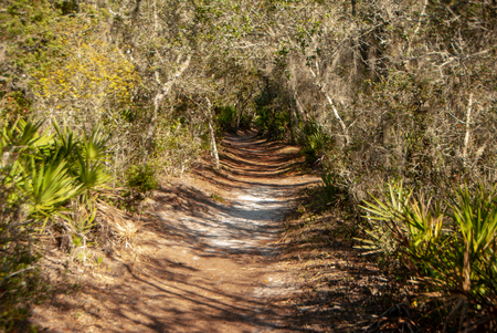 a walk on the wild sideの写真素材