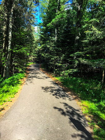 Lakeshore walking pathの写真素材