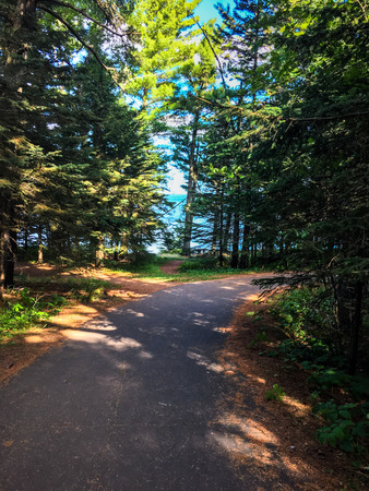 Lakeshore walking pathの写真素材