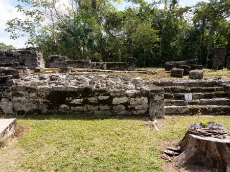 Ruins of San Gervasio Cozumel Mexicoの写真素材