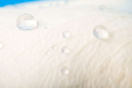 drops of water on rose petal
