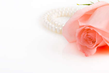 right position pink rose bud, pearl necklace with copy space at the left sideの写真素材