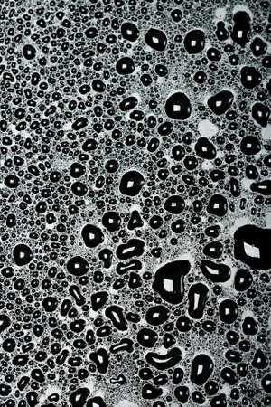 shiny water drops on black backgroundの写真素材