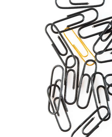 gold and black clips on white background