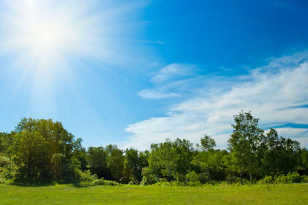 sun shining over the forestの写真素材