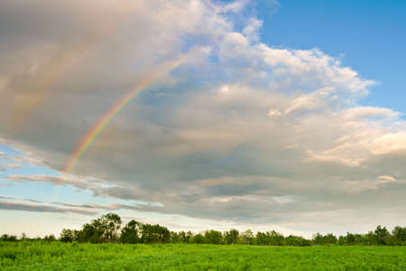 part of rainbow over the green forestの写真素材