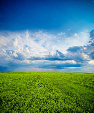 blue and white clouds over the green fieldの写真素材