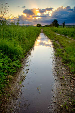 pool on countryside road under sunsetの写真素材