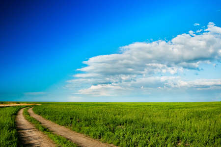 road in the  green field with blue skiesの写真素材