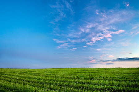 beautiful landscapeの写真素材