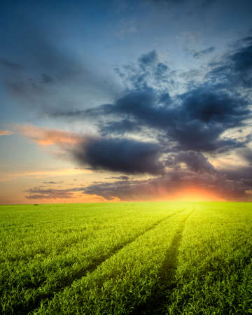 end of the day in the green fieldの写真素材
