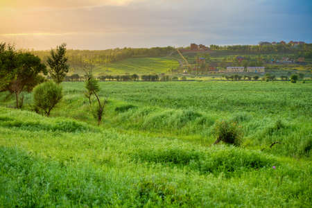 beautyful pink sunset behind the hillの写真素材