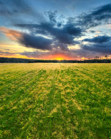 beautiful sunset above the green filedの写真素材