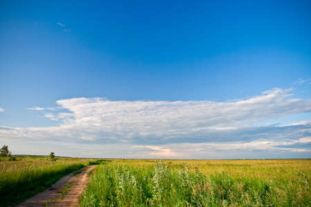 green filed under blue skies with cloudsの写真素材