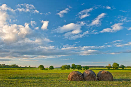 hay stacks on field under beautiful blue skiesの写真素材