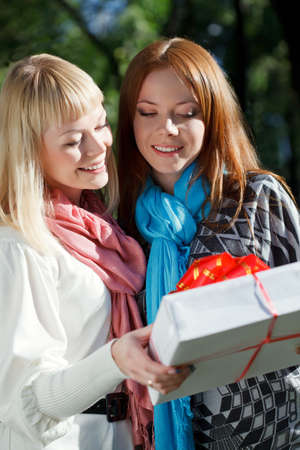 two sisters looking to gift in the summer parkの写真素材
