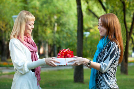 two sisters with gift in the summer parkの写真素材