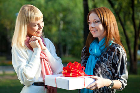 two sisters with gift in the summer parkの写真素材