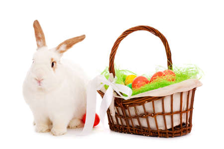 easter bunny and basket over whiteの写真素材