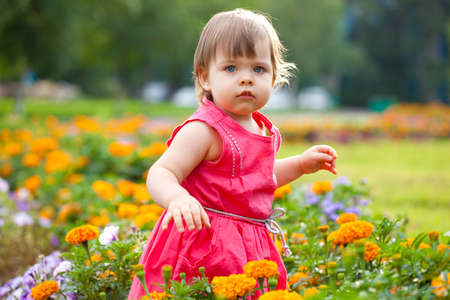 little girl wearing pink dress walking in orange flowers, looking at cameraの写真素材