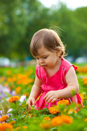 little girl looking for something in flowersの写真素材
