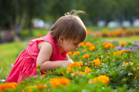 little girl looking for something in flowersの写真素材
