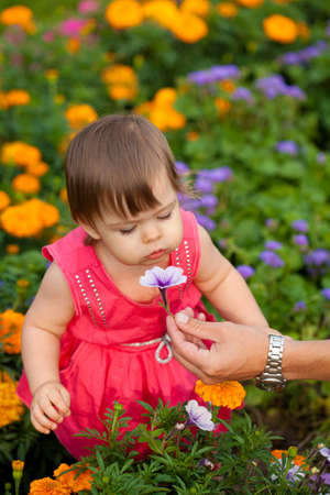 little girl wearing pink dress  smelling flower outdoorsの写真素材