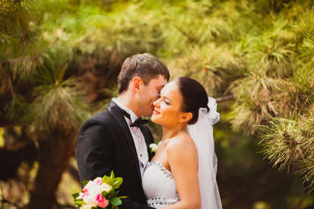 bride and groom in conifer trees parkの写真素材