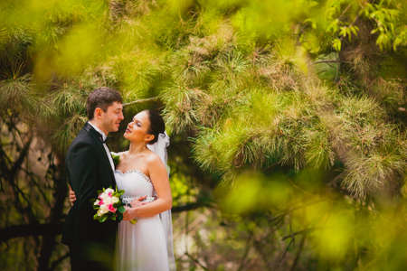 bride and groom in conifer trees parkの写真素材