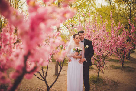 happy bridal couple walking in park among the bushes cherryの写真素材