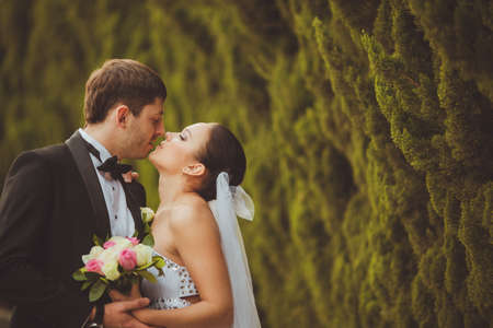 bride and groom outdoors park closeup portraitの写真素材