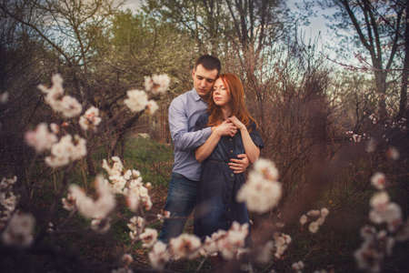 couple hugging in the garden among the blooming treesの写真素材