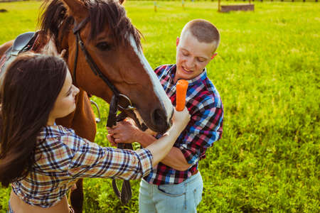 young adult couple standing and feeding horse on fieldの写真素材