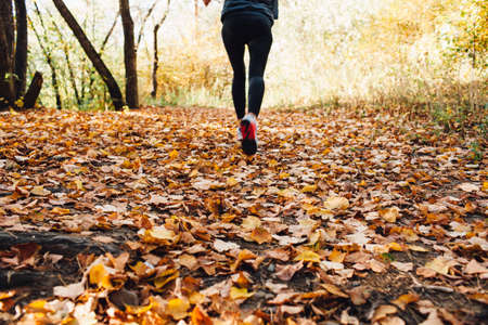 athlete woman runs for fall foliage, shoes closeupの写真素材