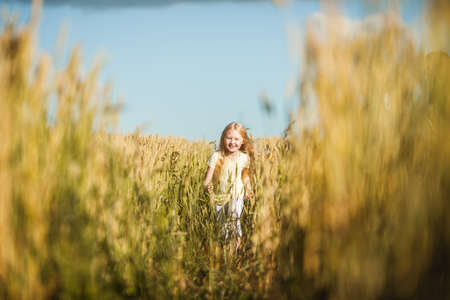 happy cute blonde girl with long hair playing in the wheat field on a warm summer dayの写真素材