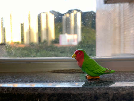 Wooden toy parrot decoration in a house next to the window seeing the urban view of a cityの写真素材
