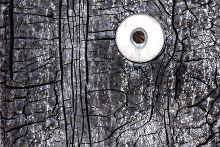 Rusty nail with a washer hammered into a wall with a cracked waterproofing material texture.の写真素材