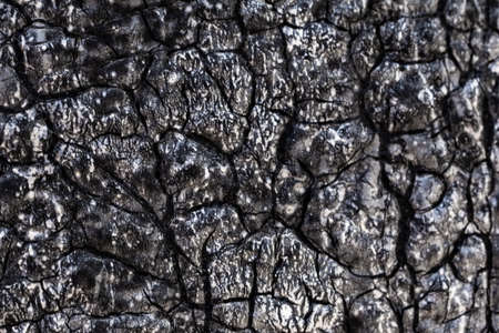 The texture of the structure of the material of waterproofing.の写真素材