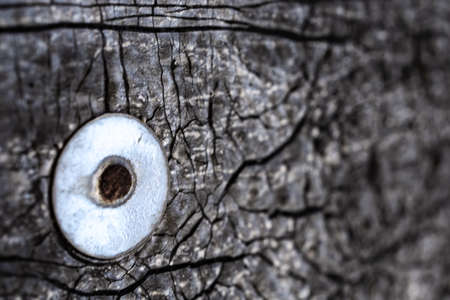 Rusty nail with a washer hammered into a wall with a cracked waterproofing material texture.の写真素材
