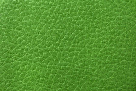 View of the skin texture in green.の写真素材