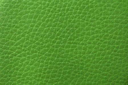 The texture of natural leather is green.の写真素材