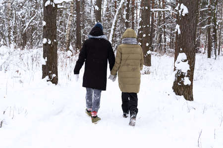 The girl and the guy go along the path in the forest and hold hands.の写真素材