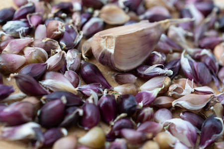 A large number of garlic seeds are on a wooden board against a clove of garlicの写真素材